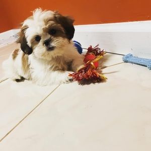 Meet your Posher, Lori